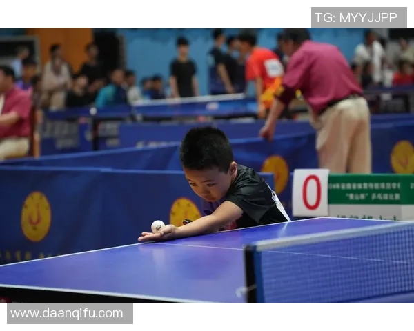 深圳乒乓球队的崛起之路联合会杯背后的奋斗与荣耀